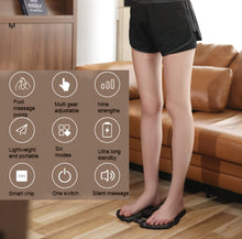 Load image into Gallery viewer, EMS Bioelectric Acupoints Massager Mat
